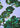 BLUSA SEDA ESTAMPADO FLORAL “AEONIUM”